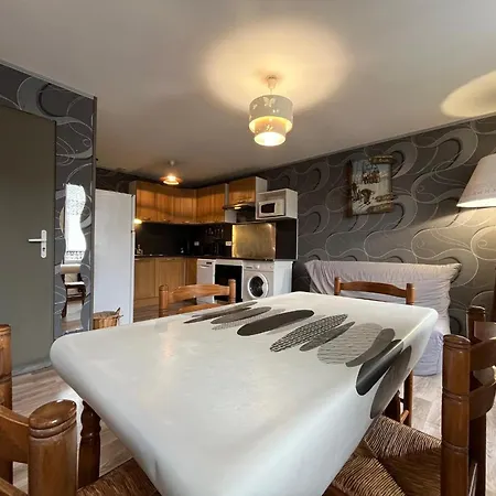 T3 Confortable Au Mont-dore Avec Wifi - Fr-1-415-212 Apartamento *